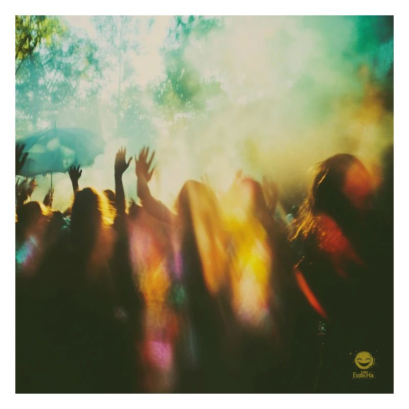 Festival euphoria