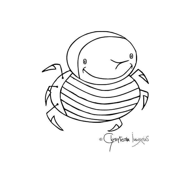 Stingbug - Coleopter Aculaeus