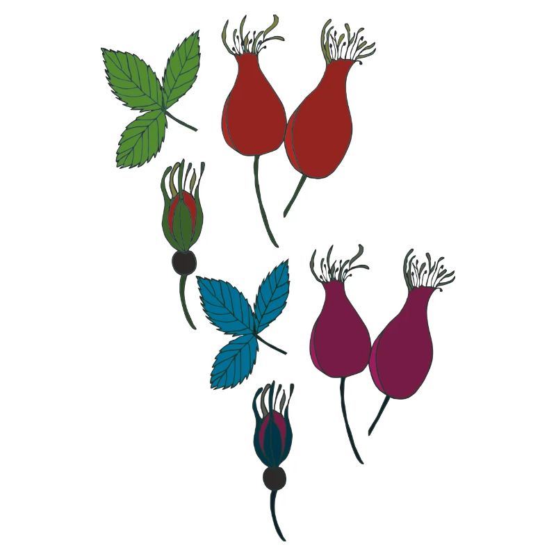 rosehip style