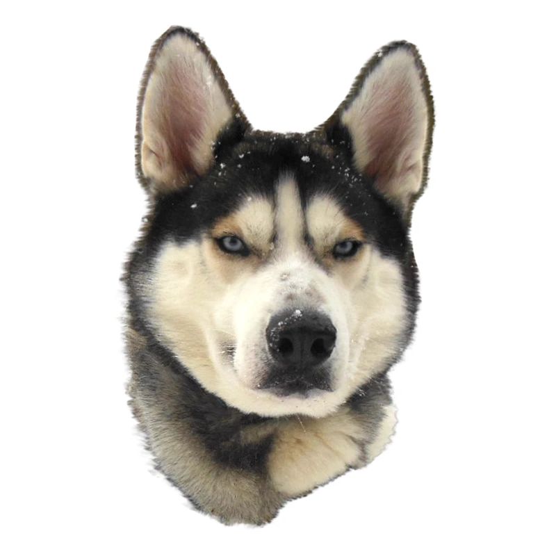 Mignon Husky Chiot Flocons de neige Art