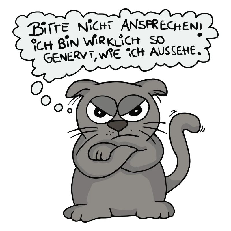 Chat agacé - Ne parle pas !
