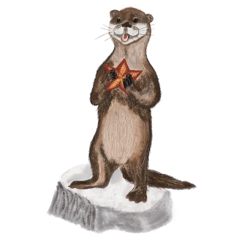 Otter
