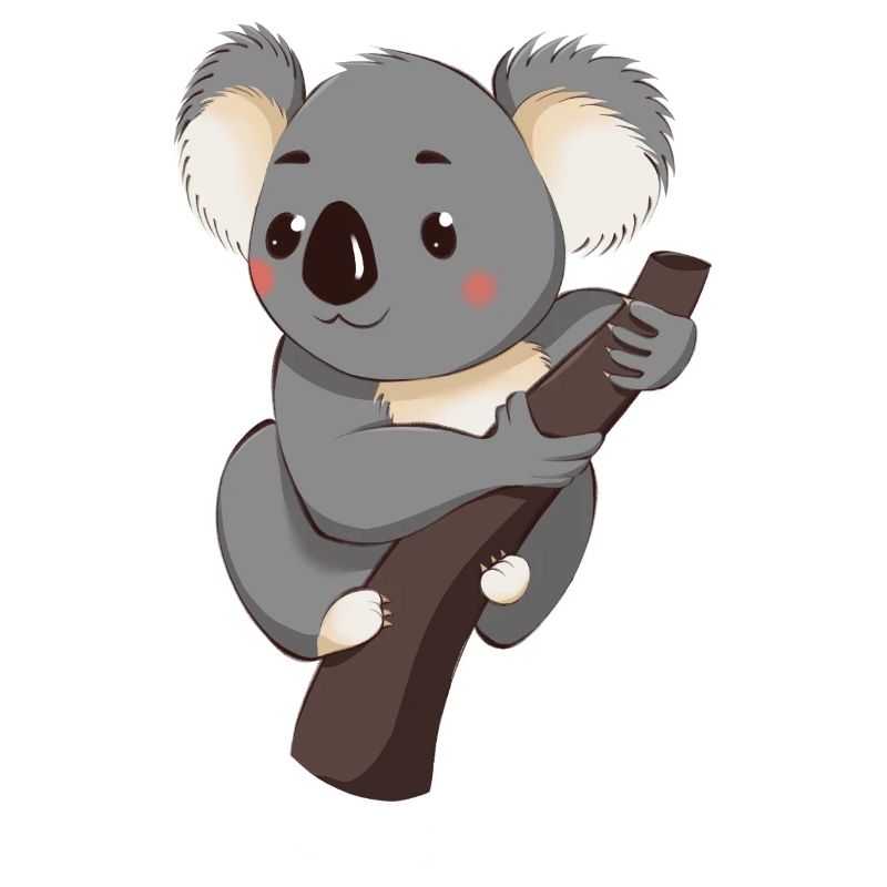Koala