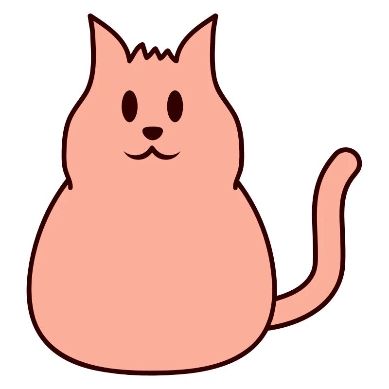 Fat Cat Looking Nice Happy Happy Smiling