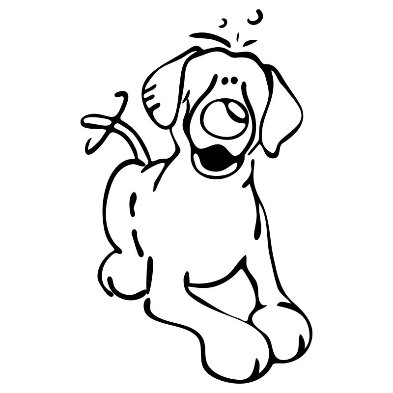 Labrador Retriever - Hund