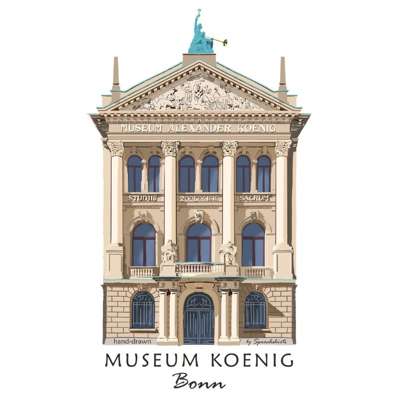 Bonn, Musée König, dessiné à la main
