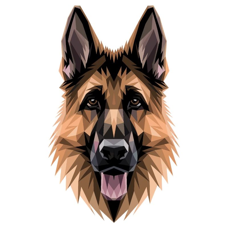 Schäferhund Hund Liebe Deutscher Schäferhund Hunde