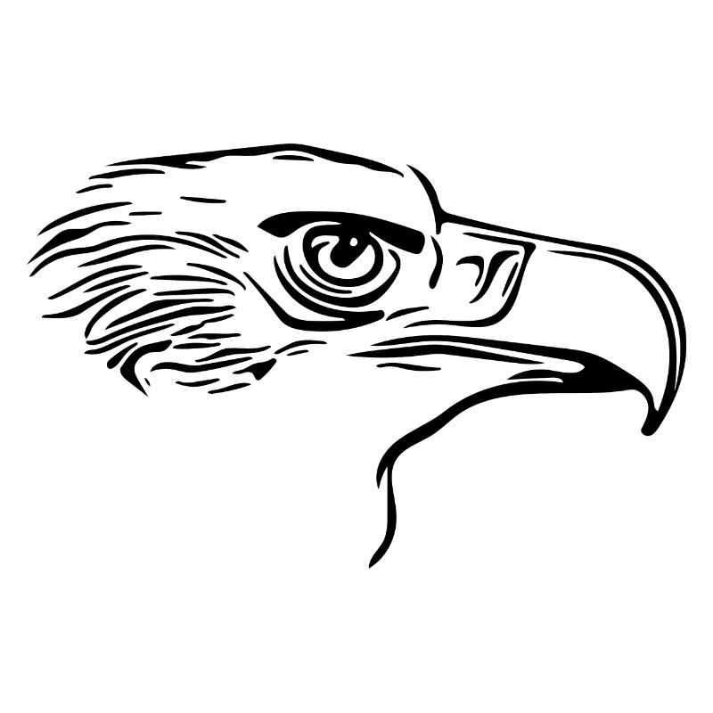 Eleganter Vogel Kopf mit großem Schnabel