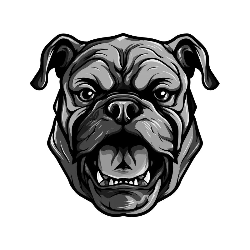 Tête de chien bouledogue