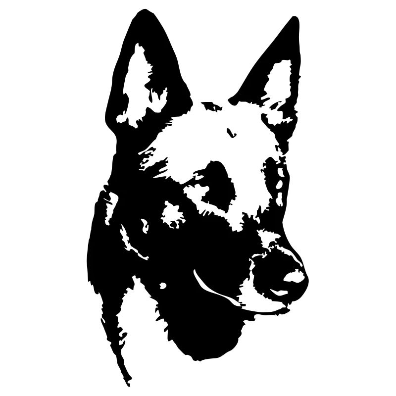 Tête de malinois