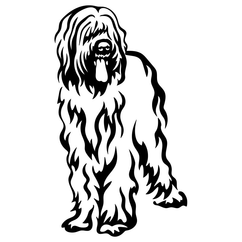 Briard