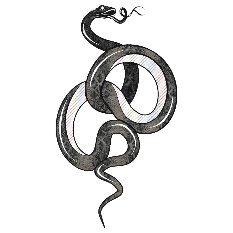 Fascinating snake in black glossy structure
