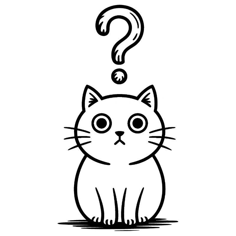 Chat confus - T-shirt chat drôle