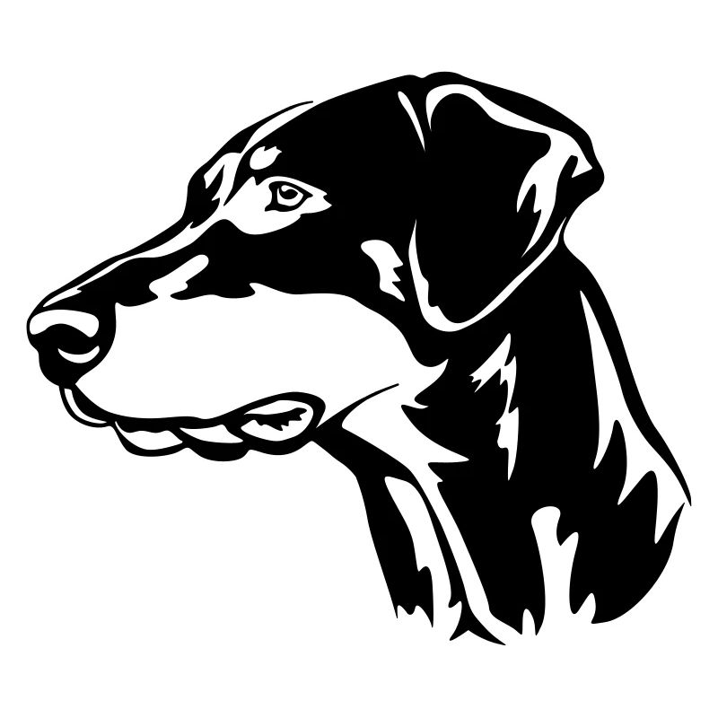 Dobermann Kopf