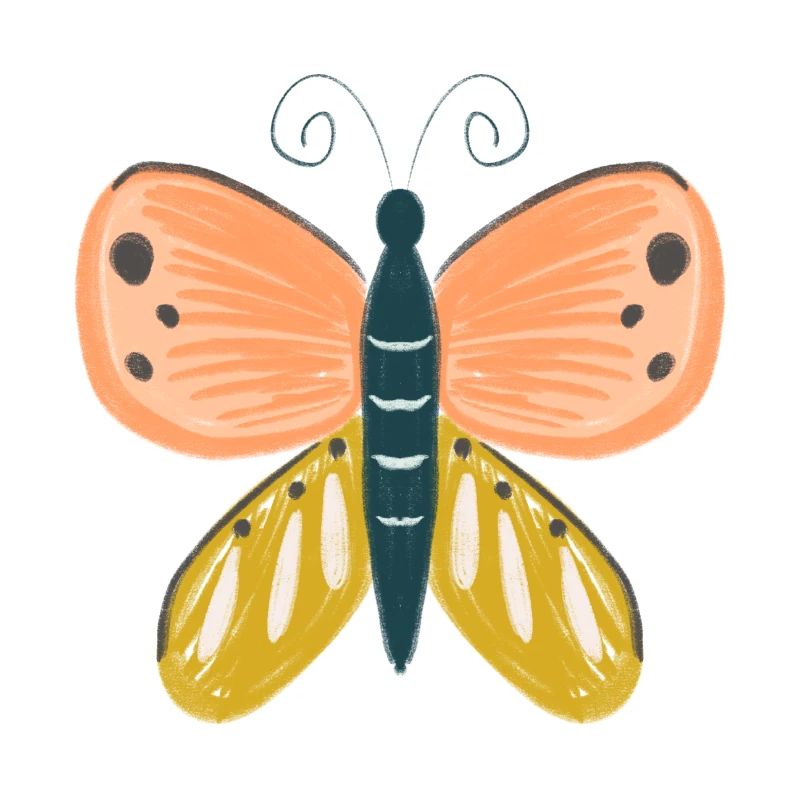 Papillon