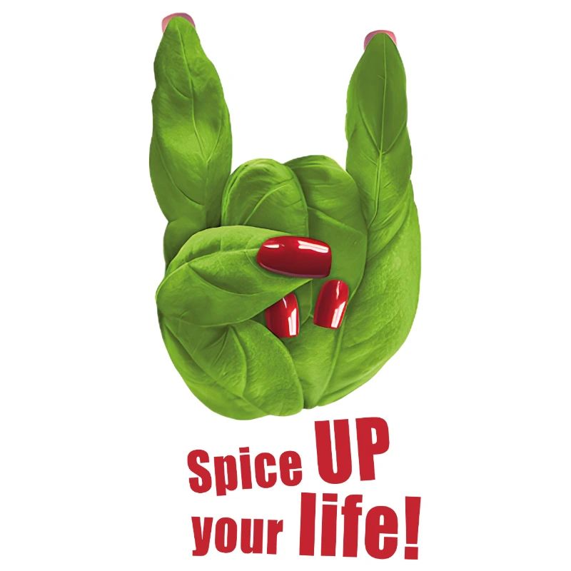 Spice UP your life - Basil - Rock 'n' Roll