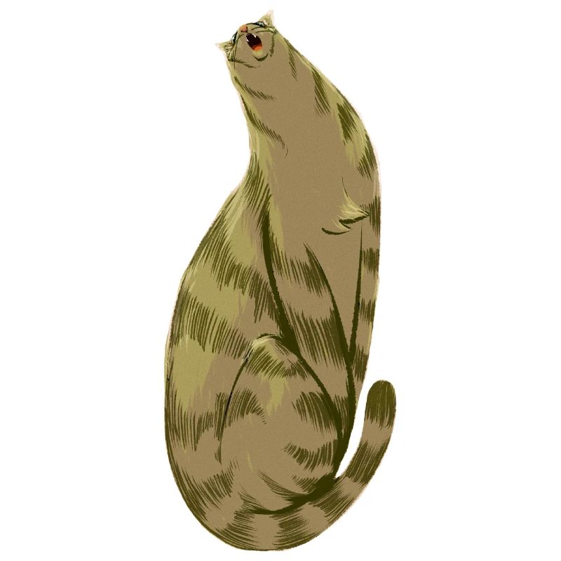 Olive Mou