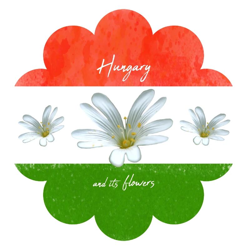 Drapeau de la Hongrie Drapeau hongrois