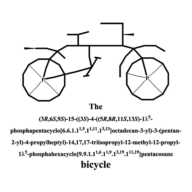 Les bicyclettes - bicyclette