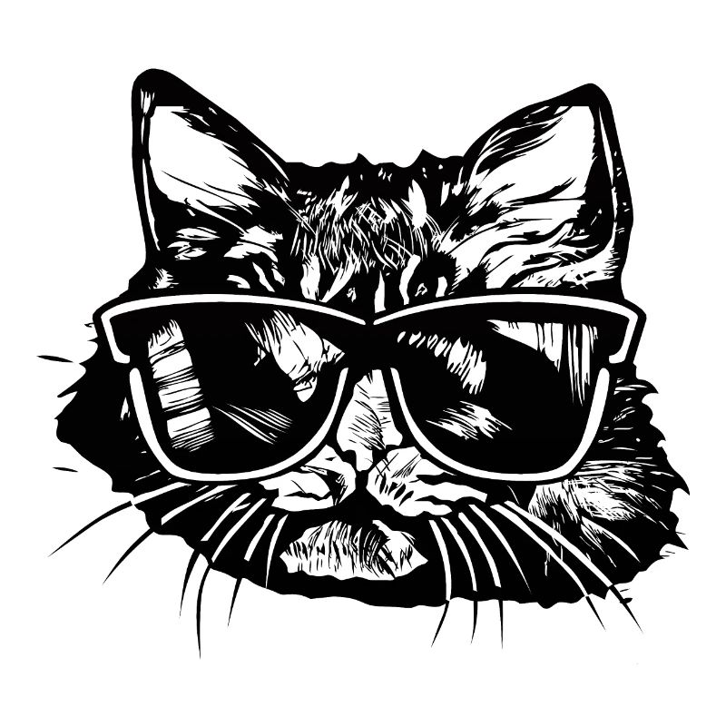tete chat lunette soleil dessin 1 A