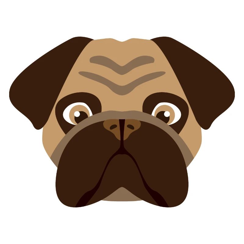 Hund Mops