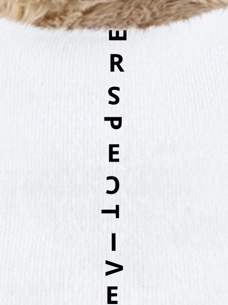 perspective