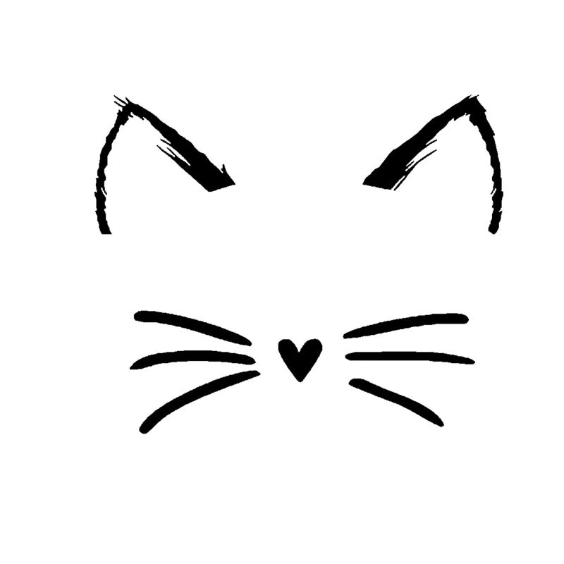 funny cat