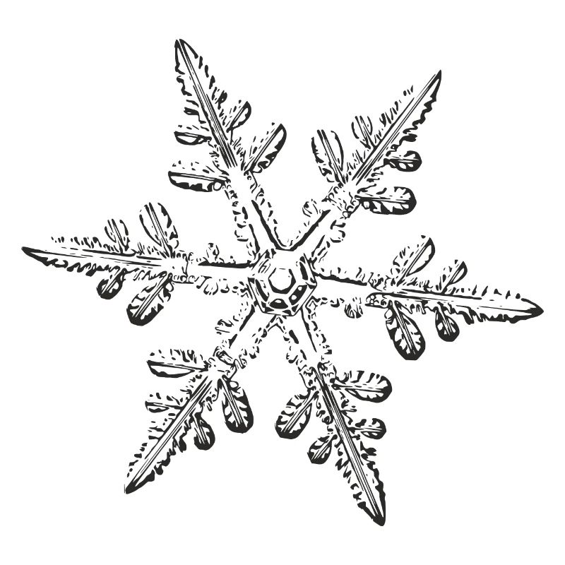 snowflake 8 black