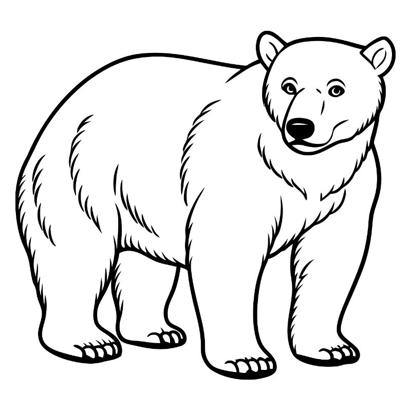 Eisbär