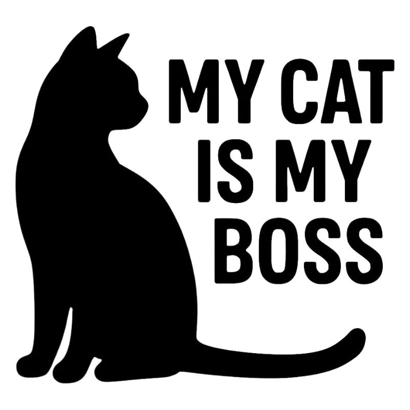 Katze ist Chef