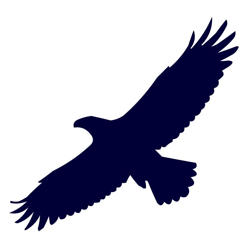 adler