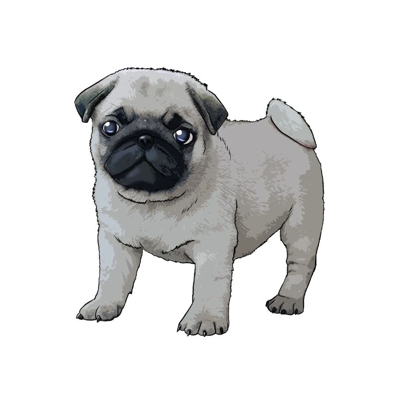 Comic Mops