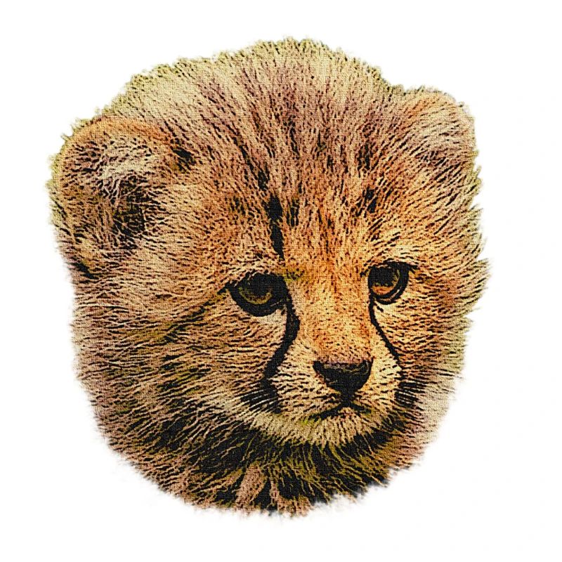 Bébé guépard, bébé animal