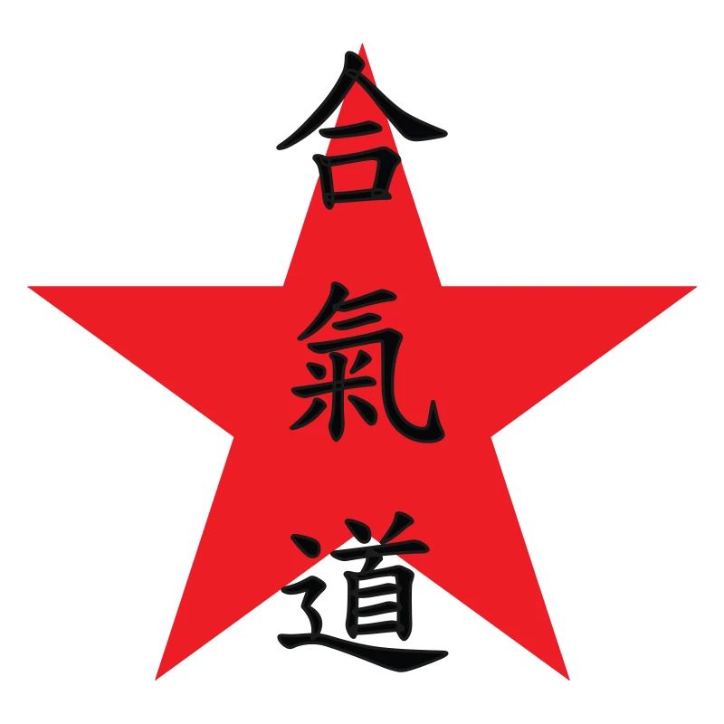 Aikido – Kampfsport – Aikido
