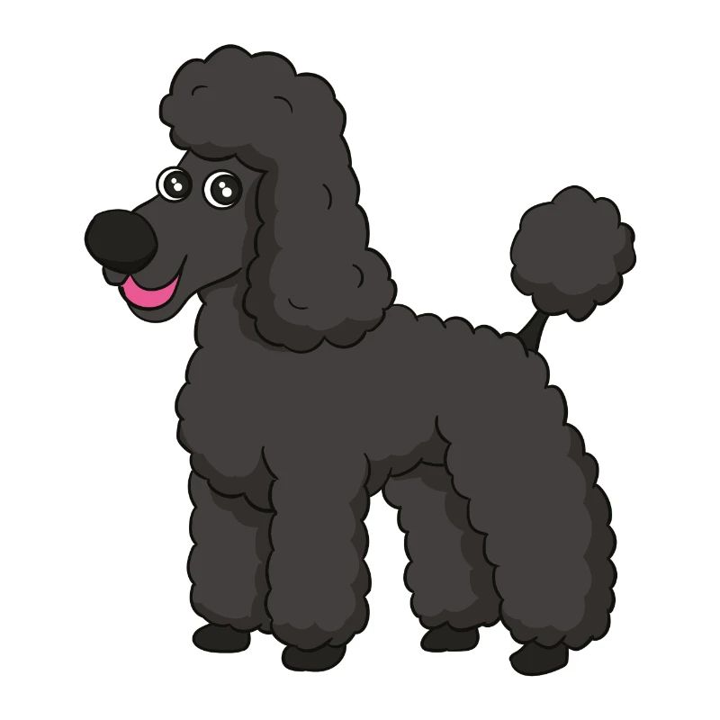 caniche doux