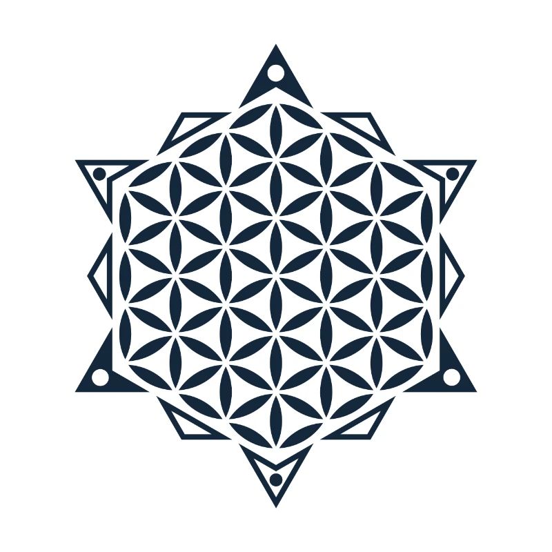 Blume des Lebens, Heilige Geometrie