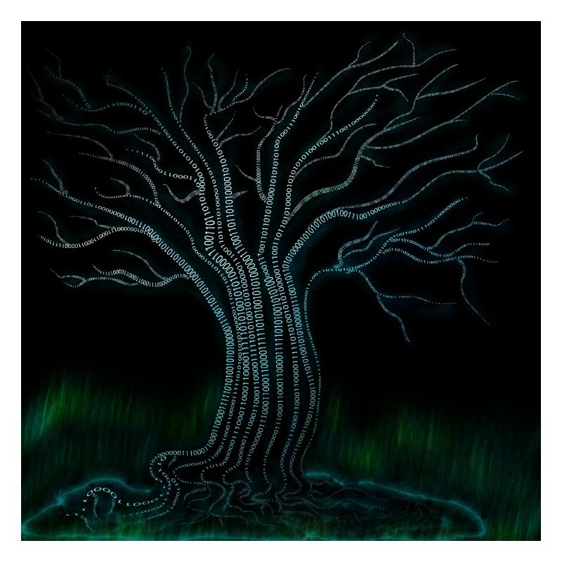 Binaer Benär tree