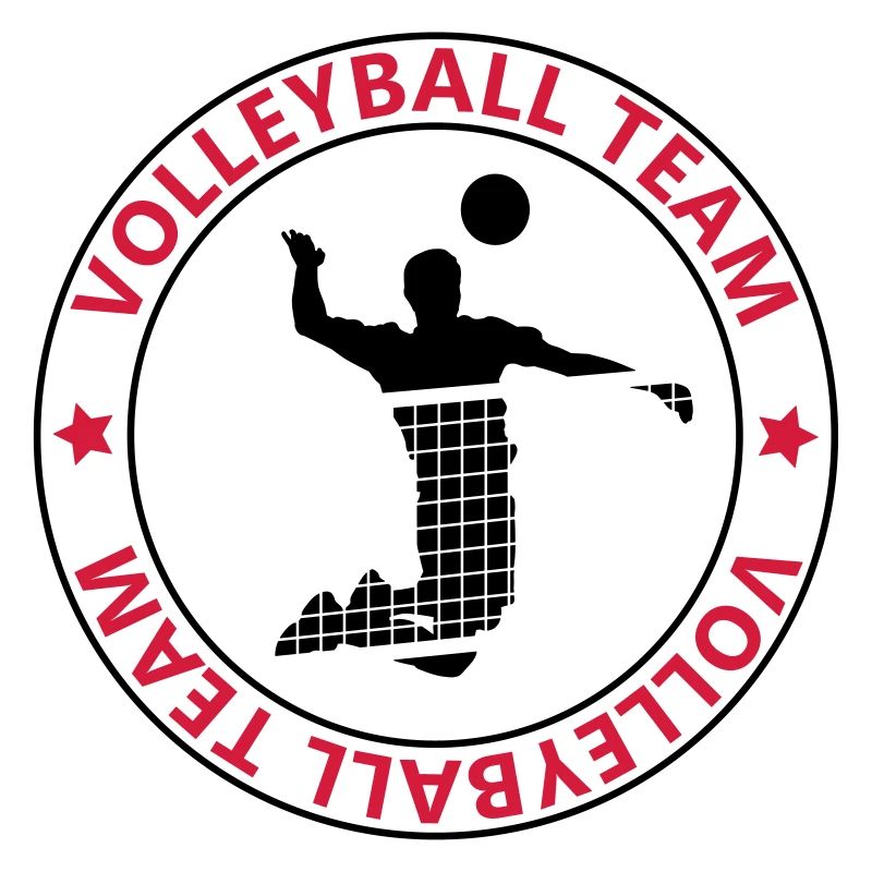 l'équipe de volley-ball