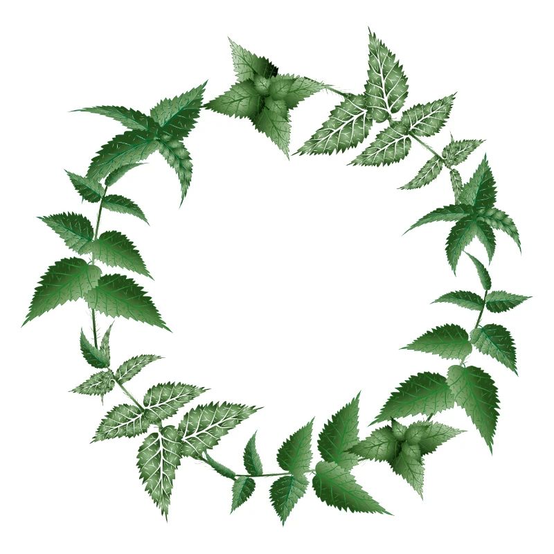 Couronne d’ortie dans des tons sombres de vert