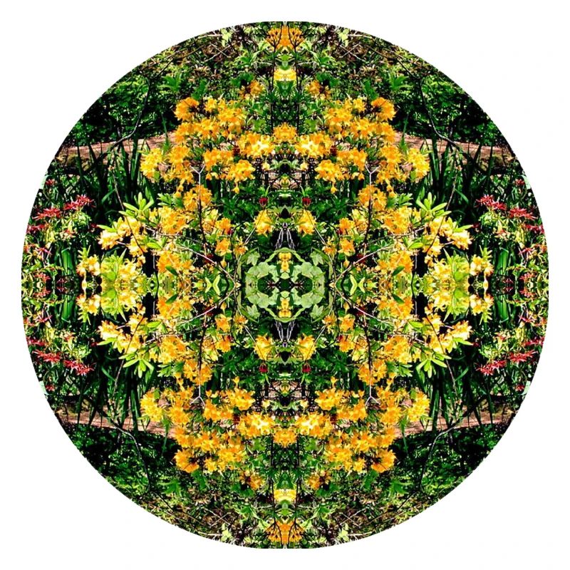 Nature Mandala Spring à Dennenlohe