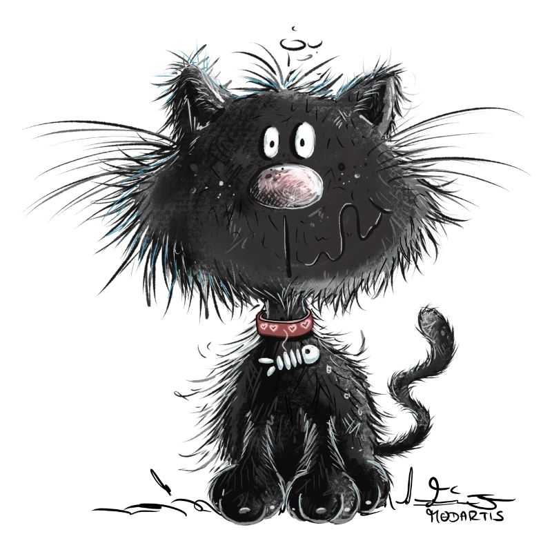 Drollige Schwarze Katze