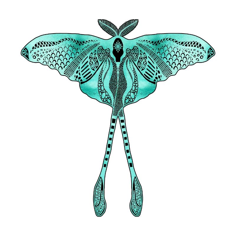 Chinese Moon Moth - Luna Moon Moth