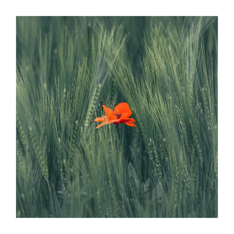Une touche de couleur