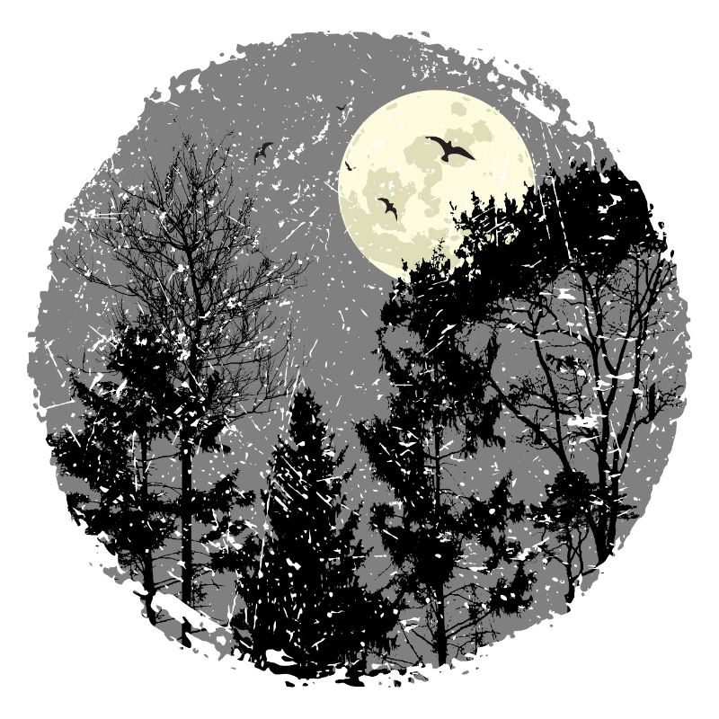 Scène de forêt nocturne sanctifiante