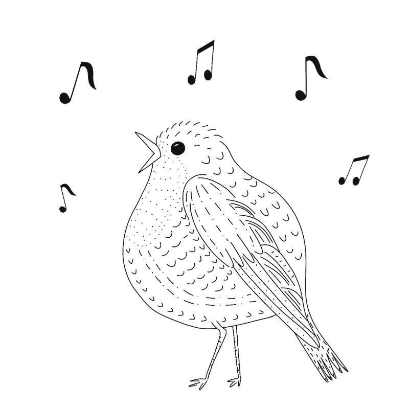 Elegant singing bird in black and white