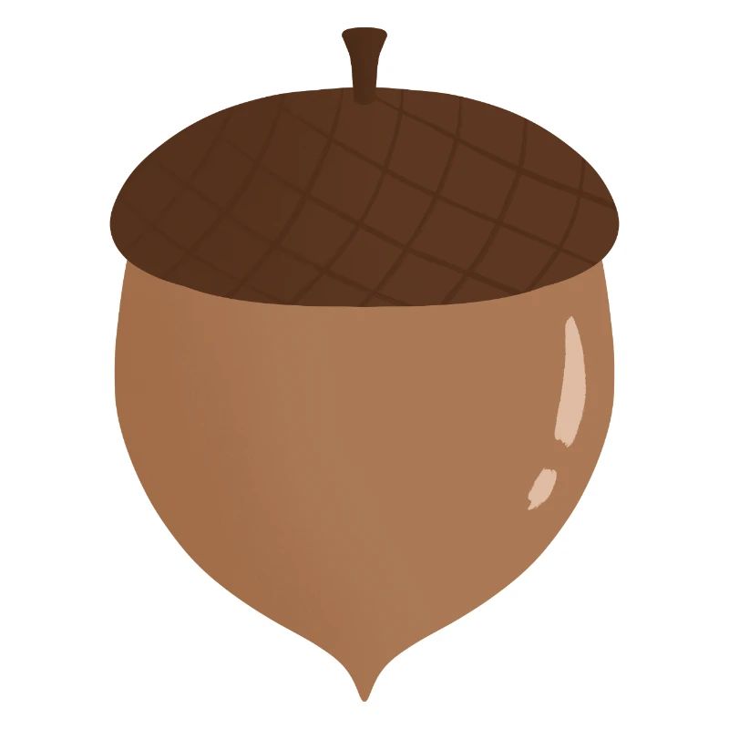 Illustration de gland