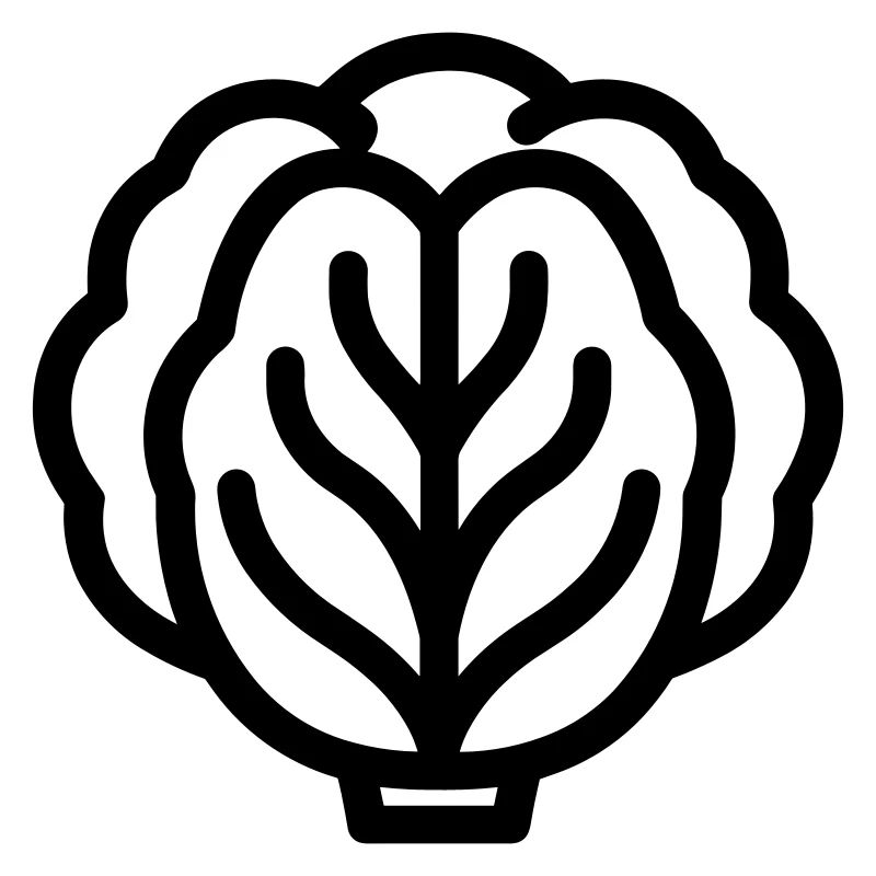 cabbage