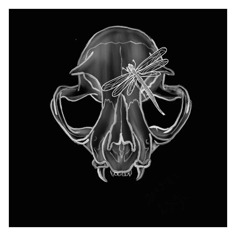 Boar Skull Dragonfly Line Art