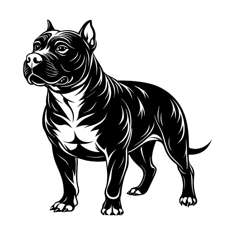 Pitbull américain