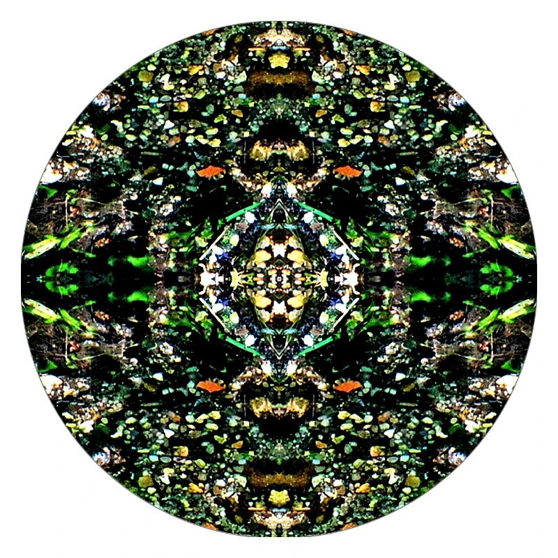 Nature Mandala Pebbles in the River